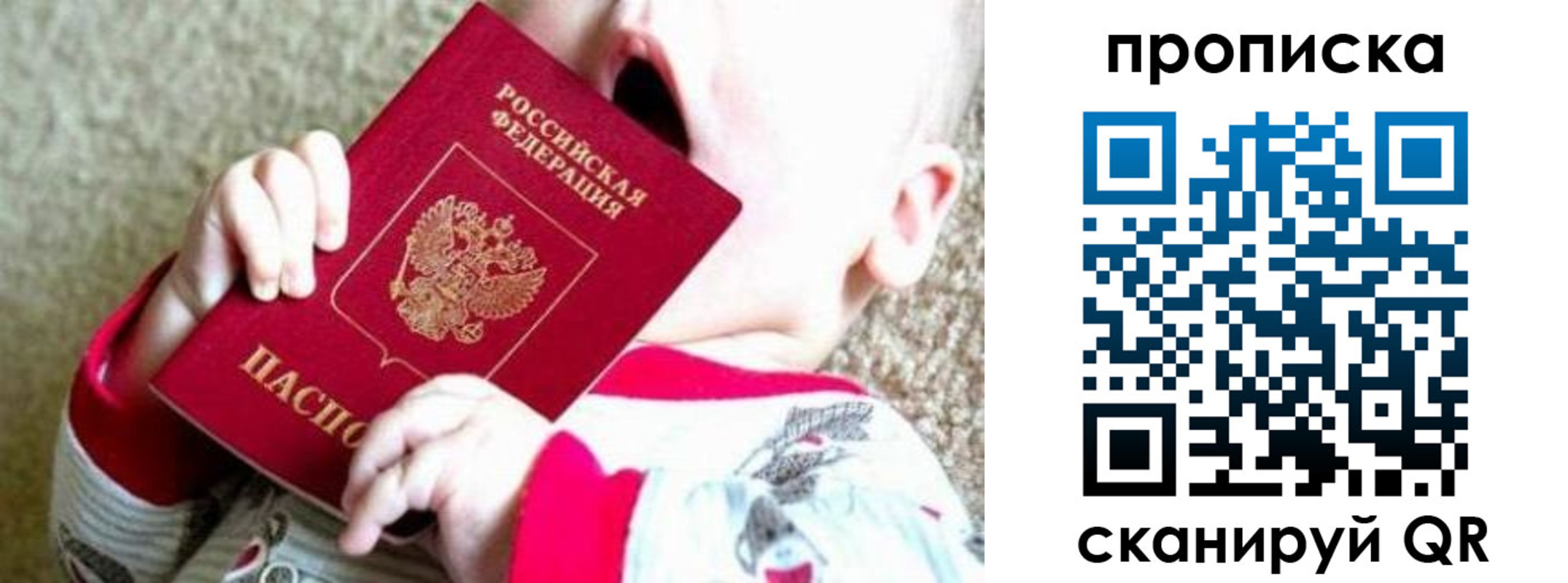 прописка законно в Владимире